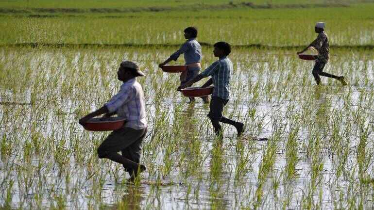 Farmer beneficiary of an Utsharga livelihoods program